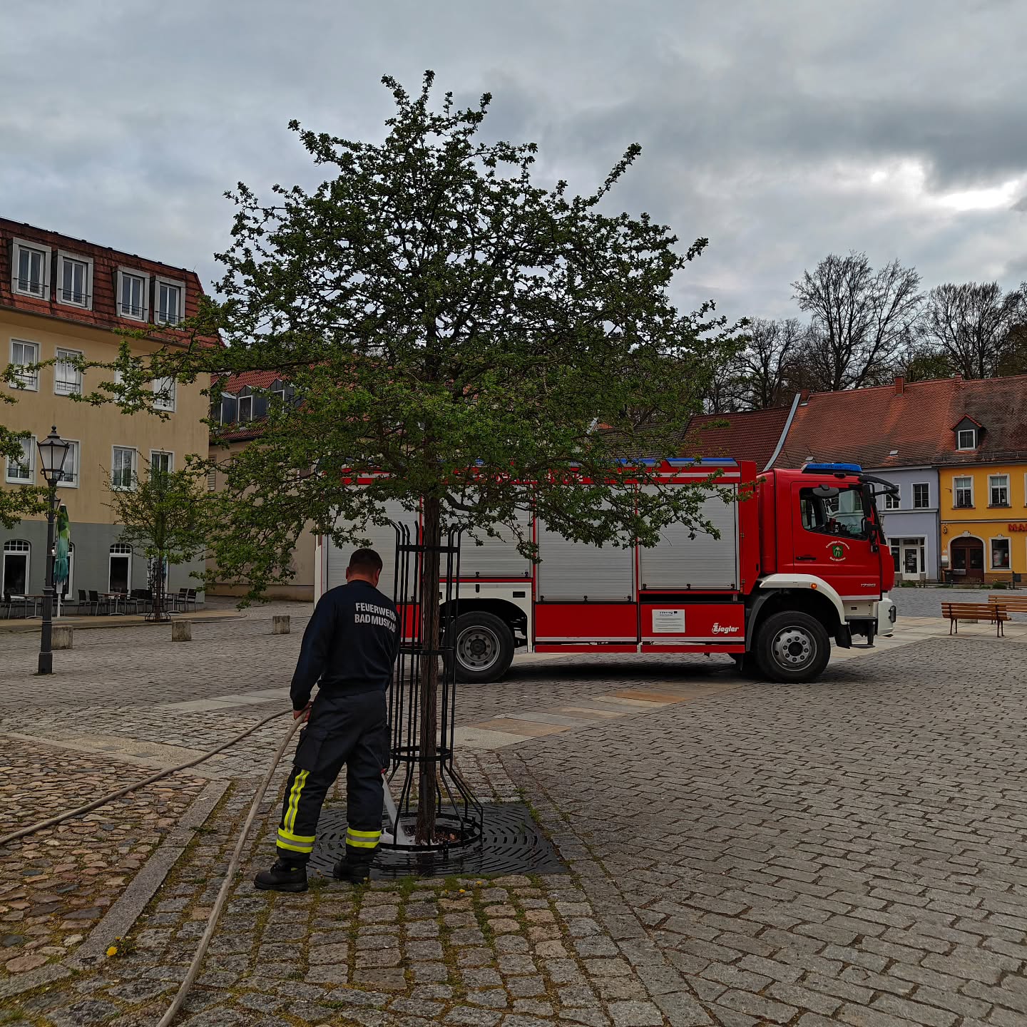 16 - H1 kommunale Unterstützung