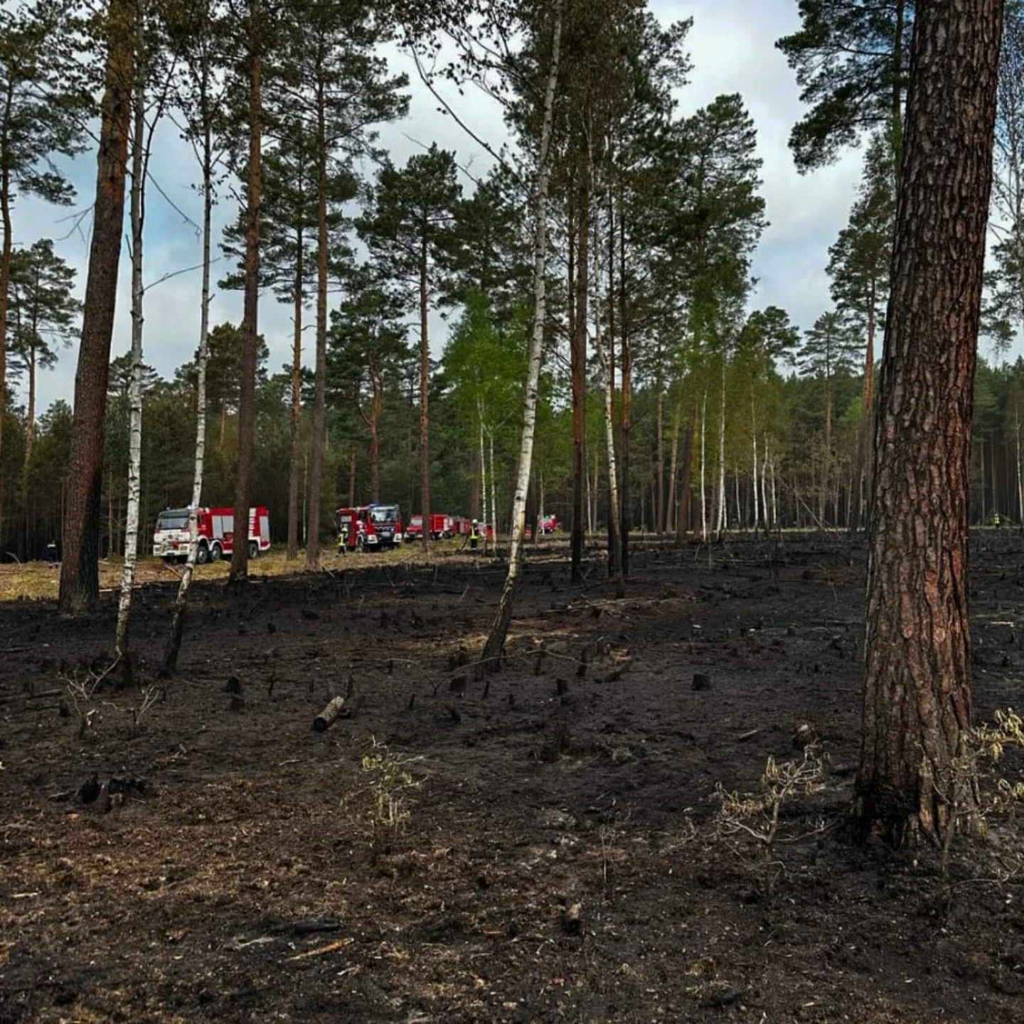 22/23 - Waldbrand Groß