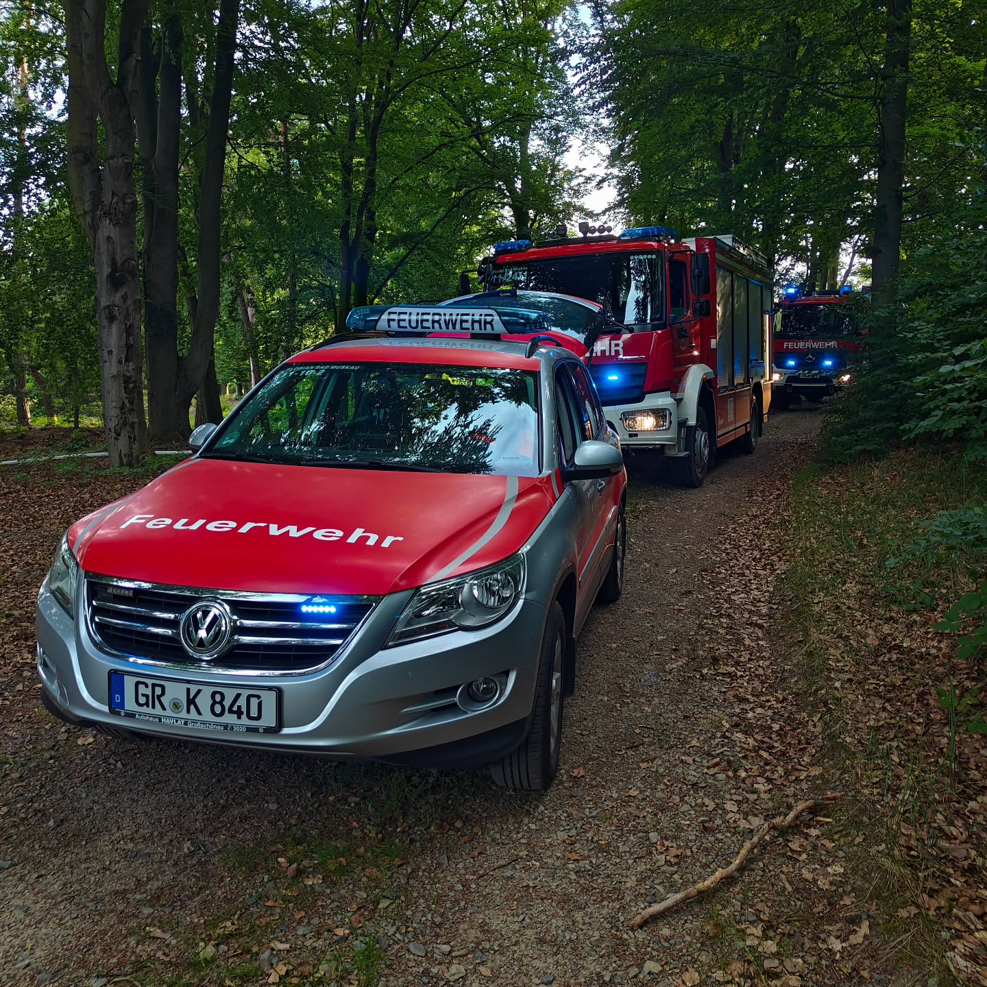 30 - B1 Vegetationsbrand